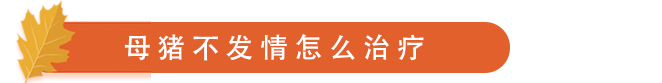 不发治疗.png