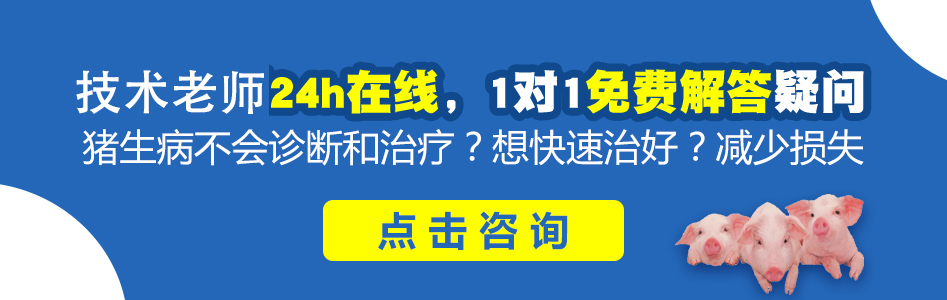 技术老师.jpg