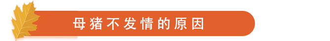 不发情原因.png