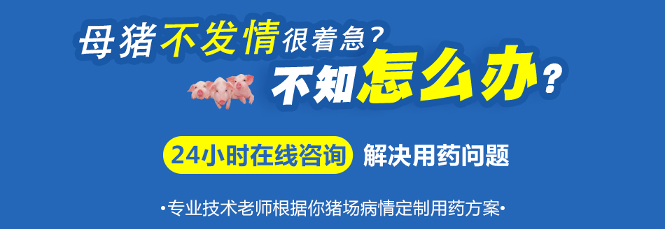 不发情.jpg