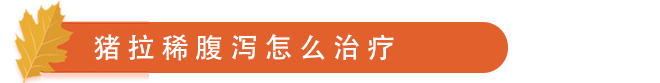 猪腹泻怎么治疗.png
