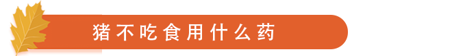 猪不吃食用什么药.png