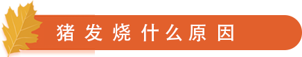 发烧原因.png
