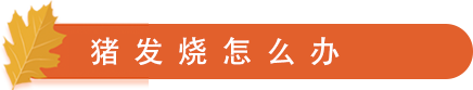 发烧怎么办.png