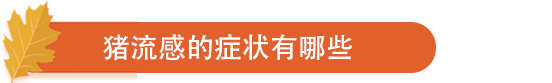 猪流感的症状有哪些.png