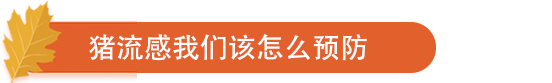 猪流感我们该怎么预防.png