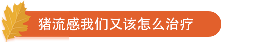 猪流感我们又该怎么治疗.png
