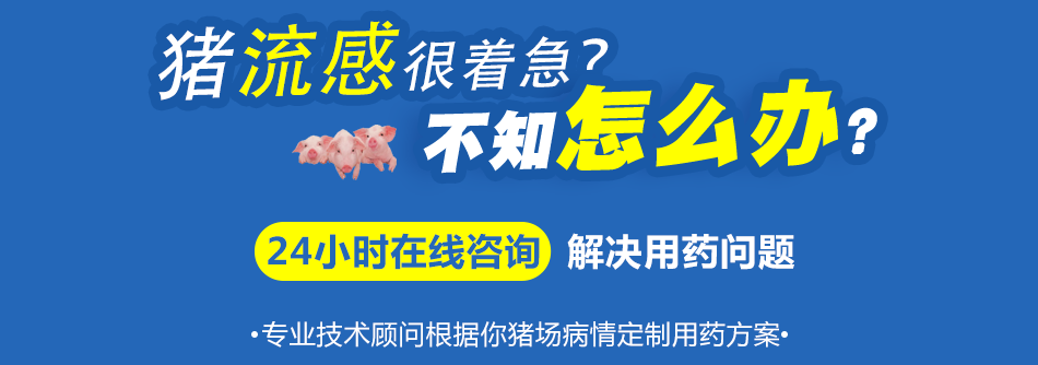 猪流感.png