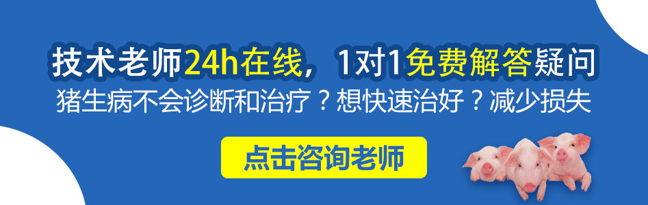 24小时在线.jpg