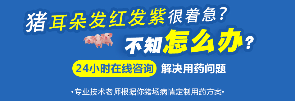 耳朵发红发紫.jpg