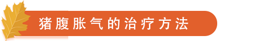 猪腹胀气的治疗方法.png