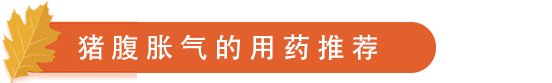猪腹胀气的用药推荐.png