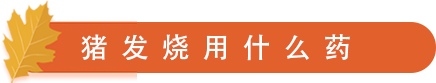 发烧用药.png