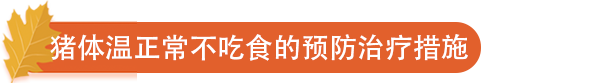 猪体温正常不吃食的预防治疗措施.png
