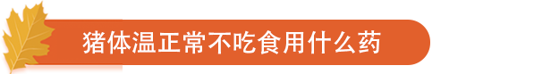 猪体温正常不吃食用什么药.png