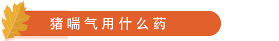 猪喘气用什么药.png