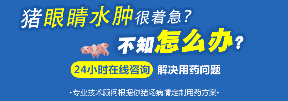 猪眼睛水肿.png