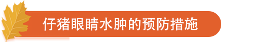 仔猪眼睛水肿的预防措施.png