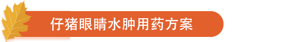 仔猪眼睛水肿用药方案.png