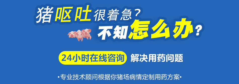 猪呕吐.png