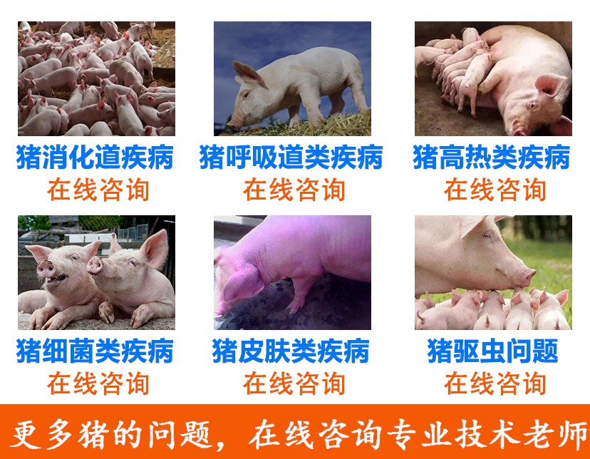 大类疾病.jpg