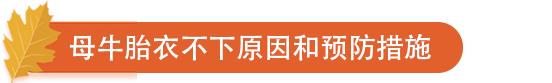 母牛胎衣不下原因和预防措施.png