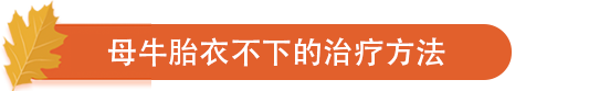 母牛胎衣不下的治疗方法.png