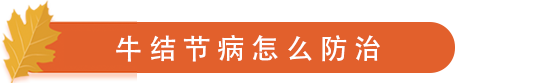 牛结节病预防.png