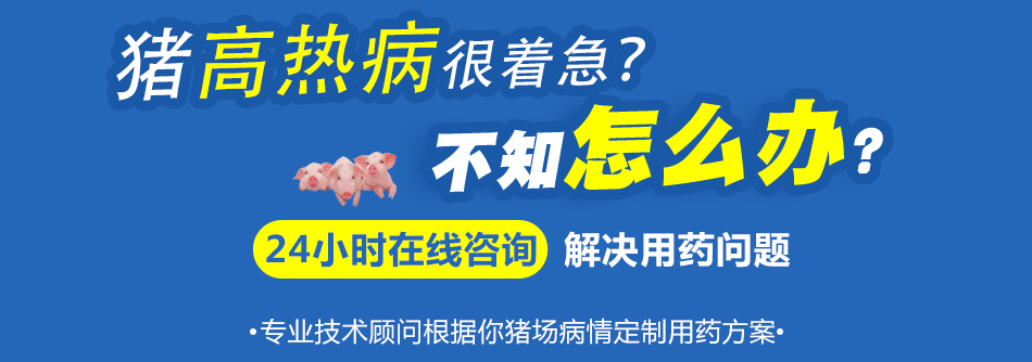 猪高热.png