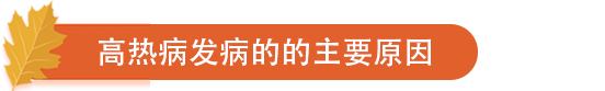 高热病发病的的主要原因.png