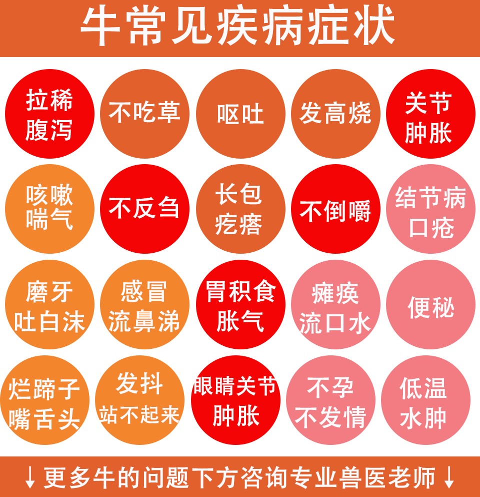 纯文字-牛羊.jpg