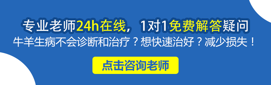 24小时在线.jpg