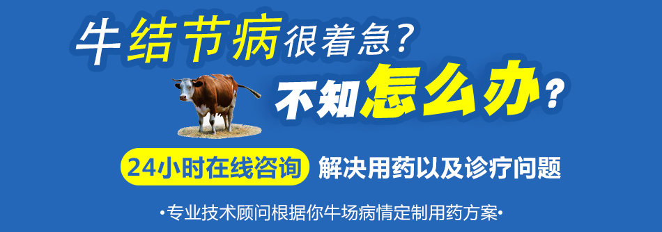 牛结节.jpg