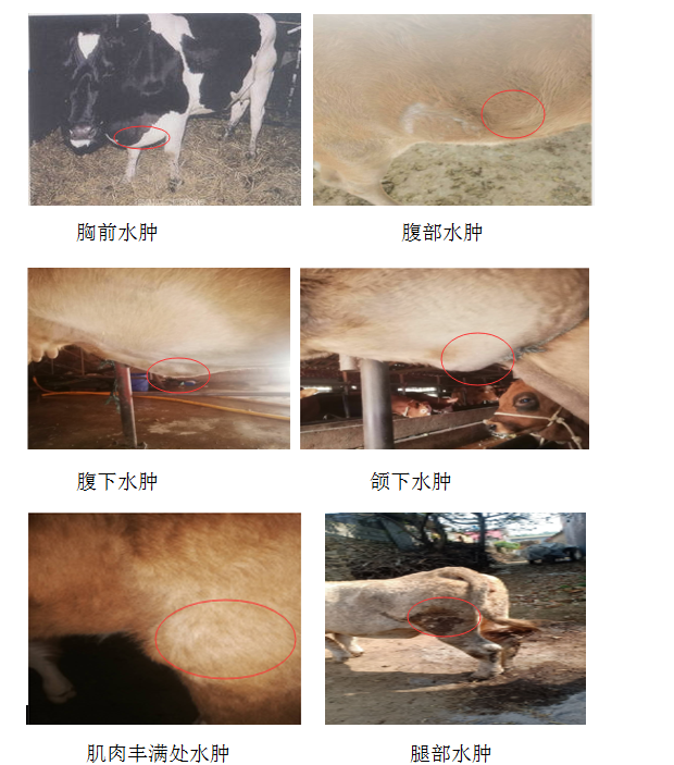 QQ截图20230413153138.png