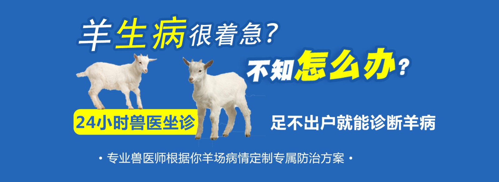 羊生病怎么办